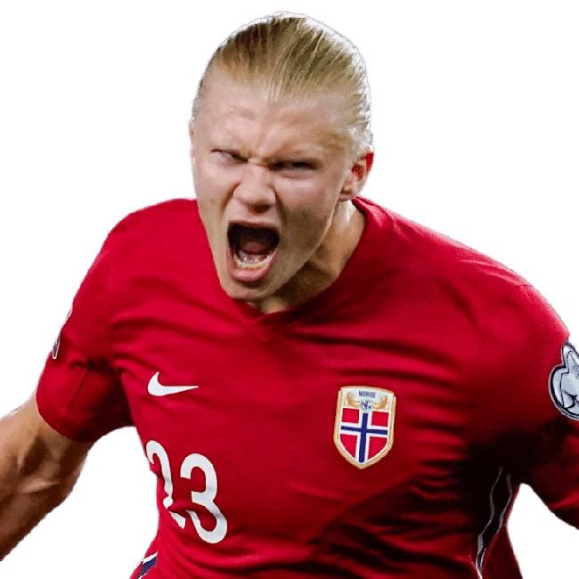 Erling Haaland