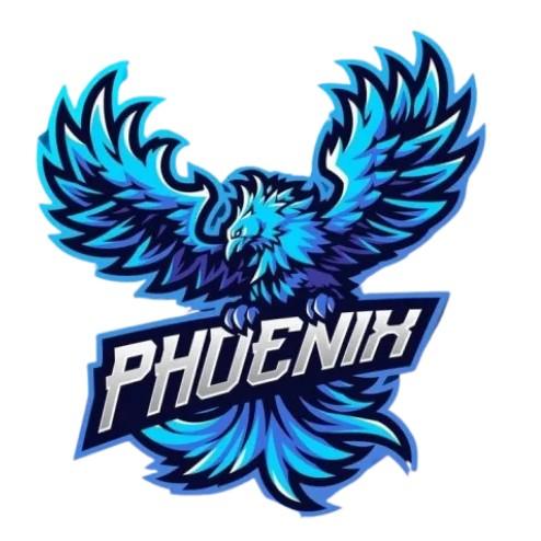 Team Phoenix 🇧🇴