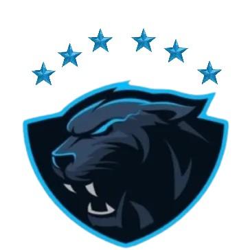 Team Bagheeras 🇧🇴