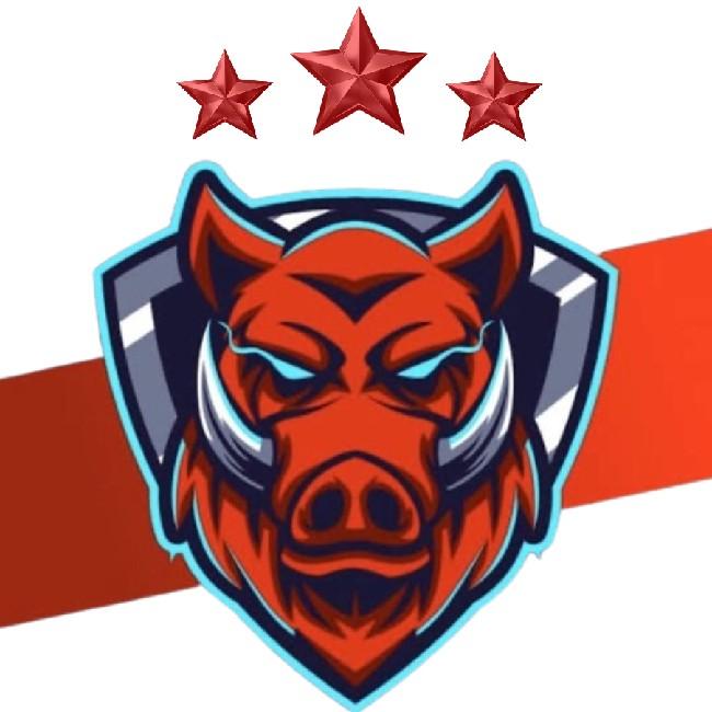 Team Wild Board 🇧🇴