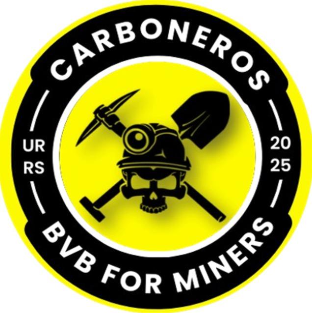 BVB-CARBONEROS - Edson