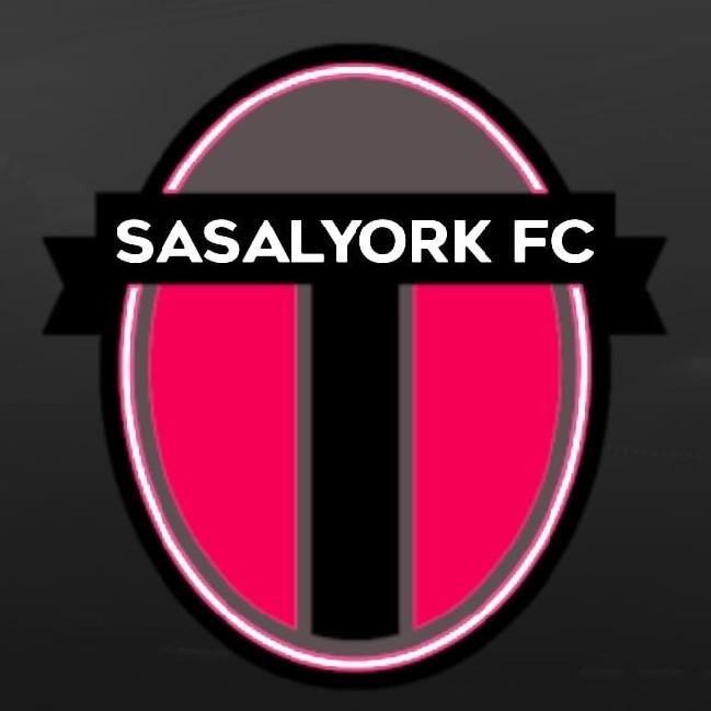 Sasalyork fc 710