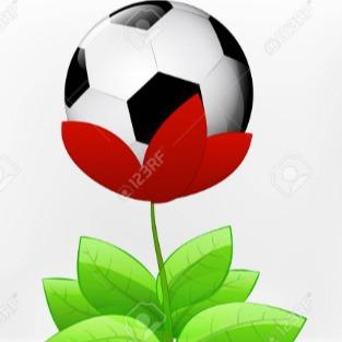 Camilo la flor Romero