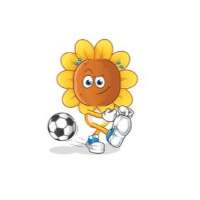 Jorge el Girasol Herrera