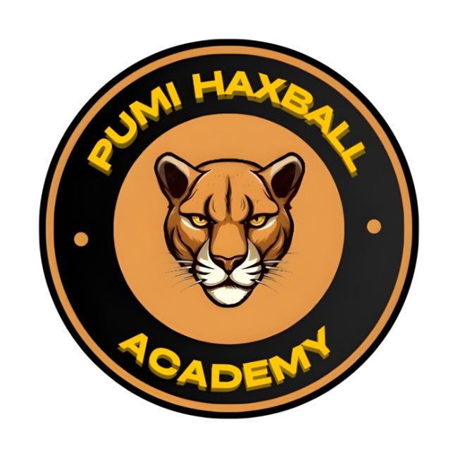 Pumi Haxball Academy