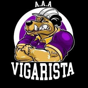 VIGARISTA
