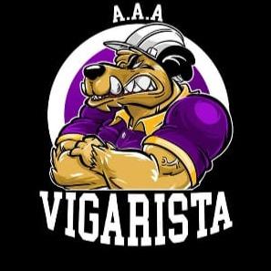 VIGARISTA