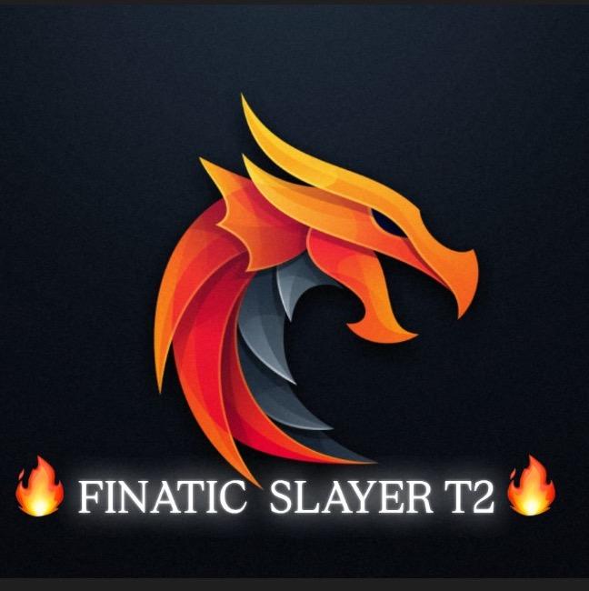 FNATIC SLAYER
