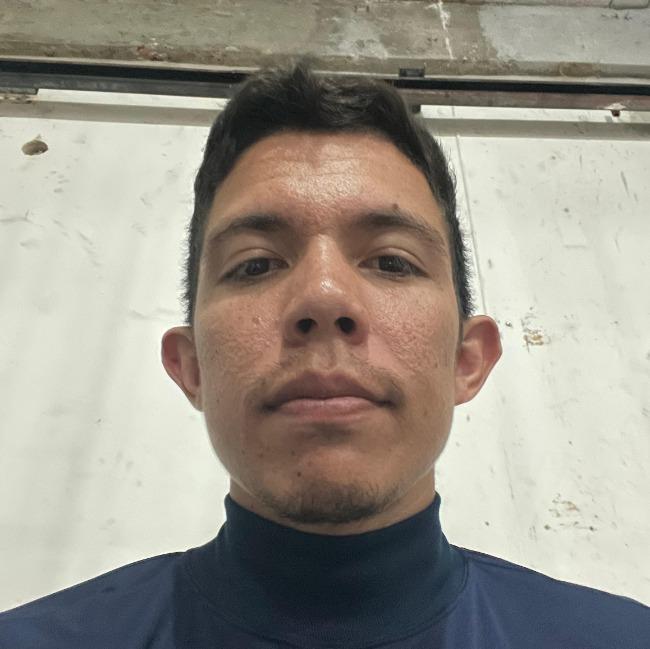 JOSUÉ SILVA ALVARENGA