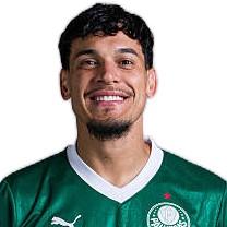 Gustavo Gomez