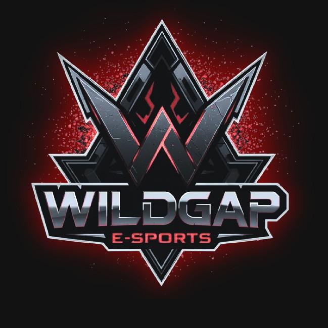WILDGAP ESPORTS
