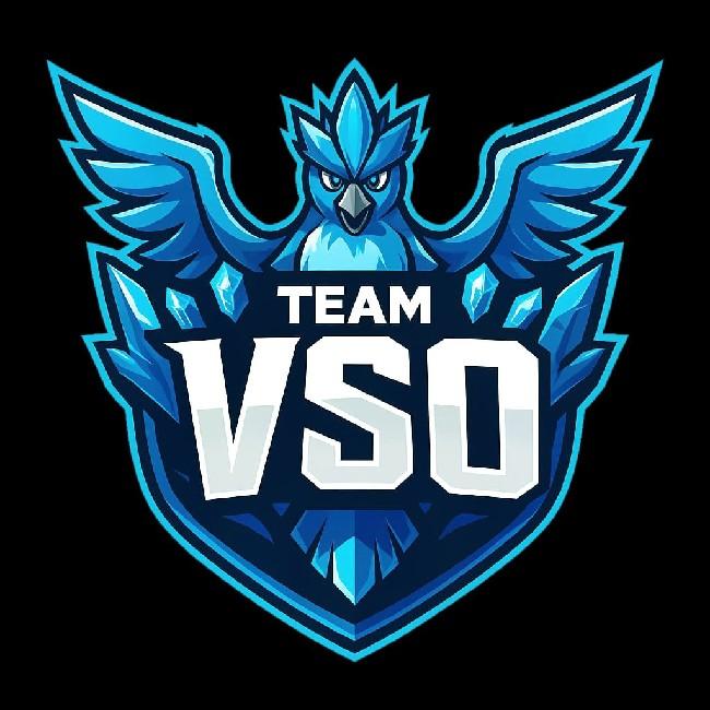 VSO Team