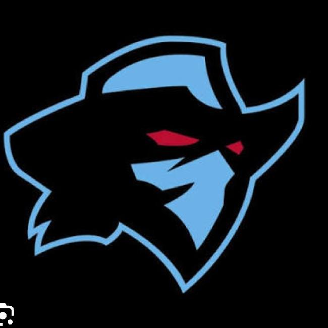 DALLAS RENEGADES