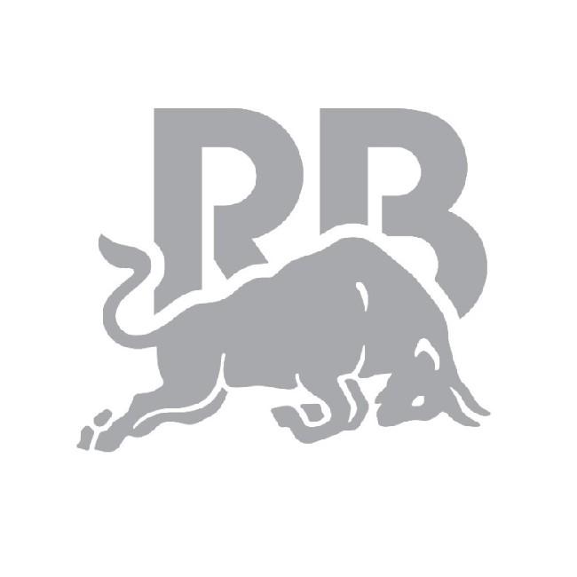 Рэйсинг Буллс