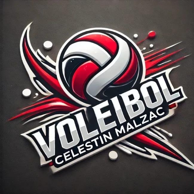 Vôlei Celestin