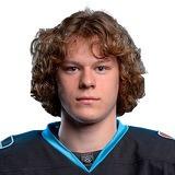 Хобян Дмитрий