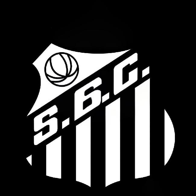 santos tcs