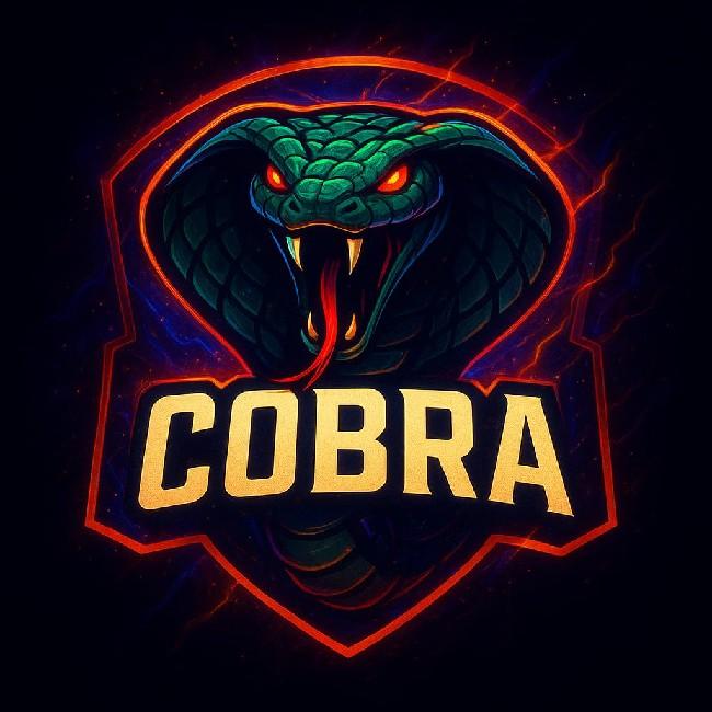 Cobra Team