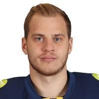 Дмитрий Лозебников (B)