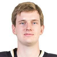 Александр Шепелев