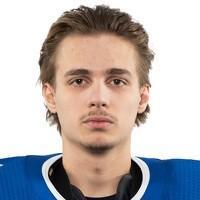 Артемий Плешков (B)