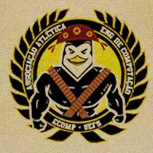 IMP. DO SERTÃO - Ecomp