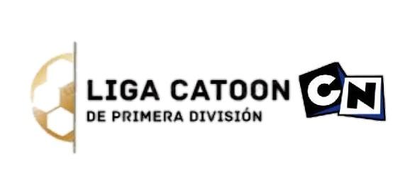 Liga de 1era division