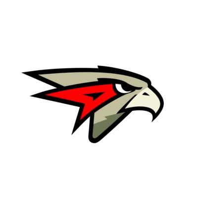 Омские Ястребы