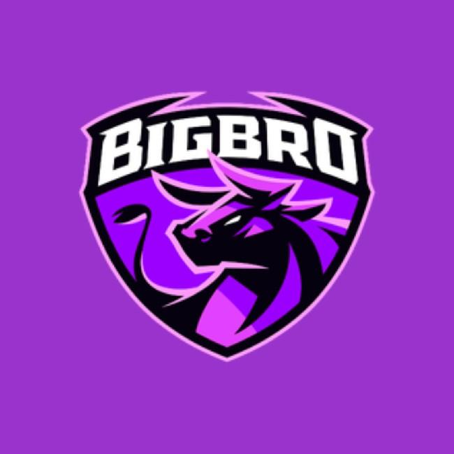 Bigbro
