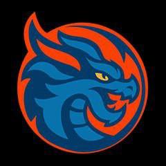 Шанхай Драгонс