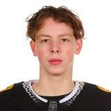 Виталий Пестерев