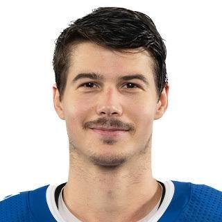 Николай Голдобин