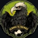Olimpia Blanowice