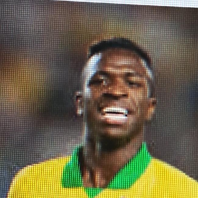 Vinicius