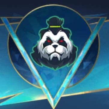 G2 Sport T1 🇧🇴