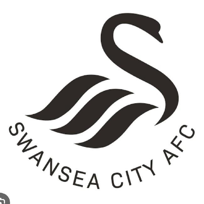 🏴󠁧󠁢󠁷󠁬󠁳󠁿 Swansea City