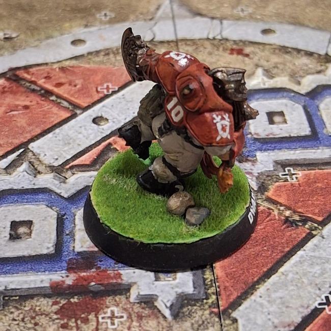 Bortagum Sternhammer