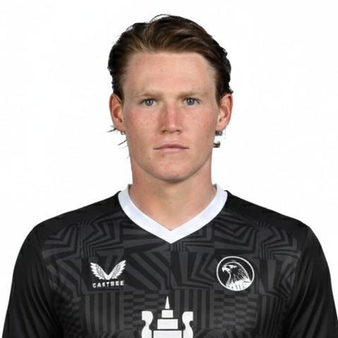 Альвере Лессуваж