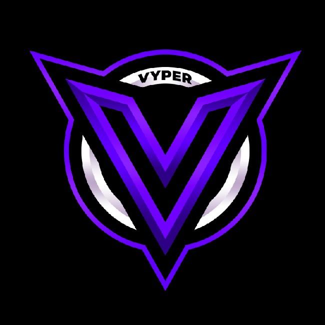 VYPER TEAM