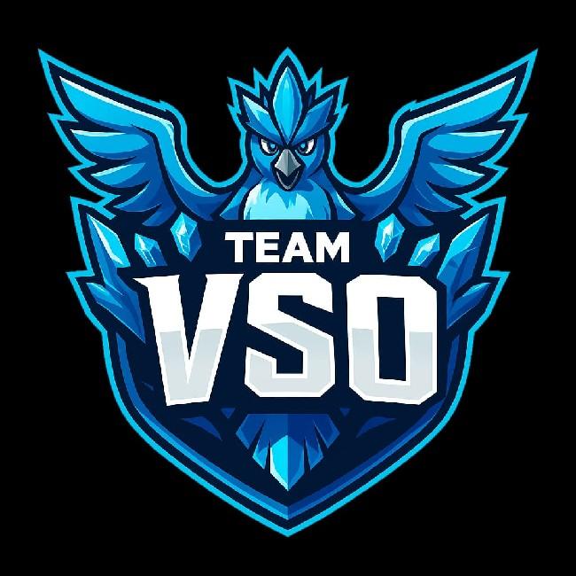 VSO TEAM