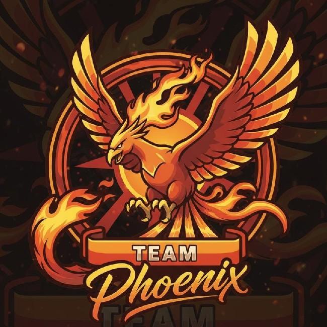 Phoenix Team