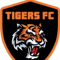 Gabriel - United tigers fc