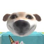 lecturatuberceasal13