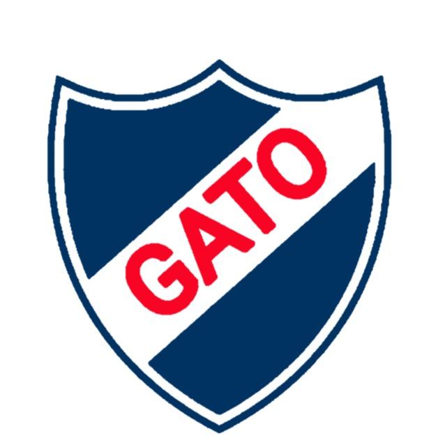 Gato
