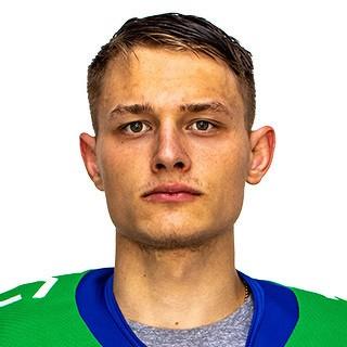 Горшков Артем