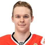 Владимир Михалев