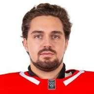 Дмитрий Николаев (В)