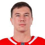 Дмитрий Вишневский