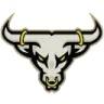 Houston Bulls