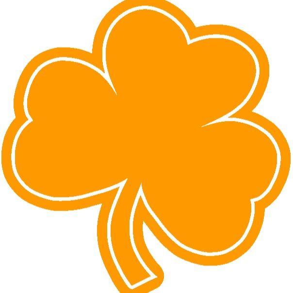 Mustang Fighting Irish